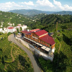 Sarı Köşk Hotel